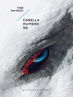 cover image of Casella numero 58
